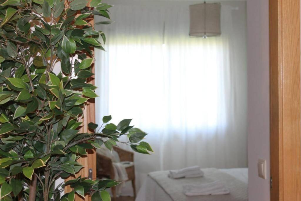 Apartamento Riomar Ribadumia Bagian luar foto